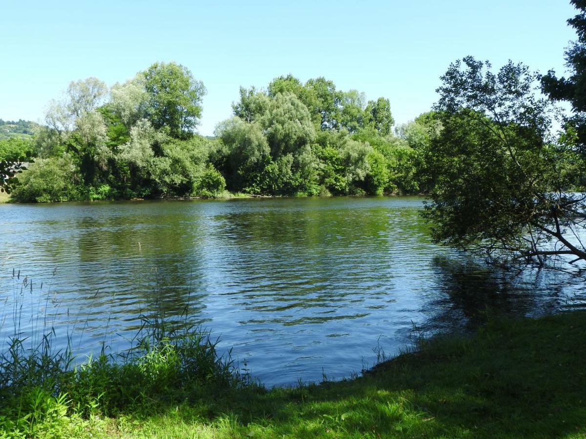 Hôtel Le Canard Qui Rit à Beaulieu-sur-Dordogne Extérieur photo